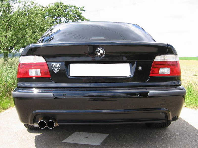 Eisenmann Endschalldämpfer für BMW E39 Limousine 523i 2x76mm