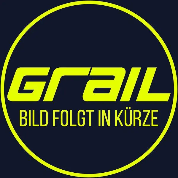 Grail Abgasanlage Lamborghini Urus