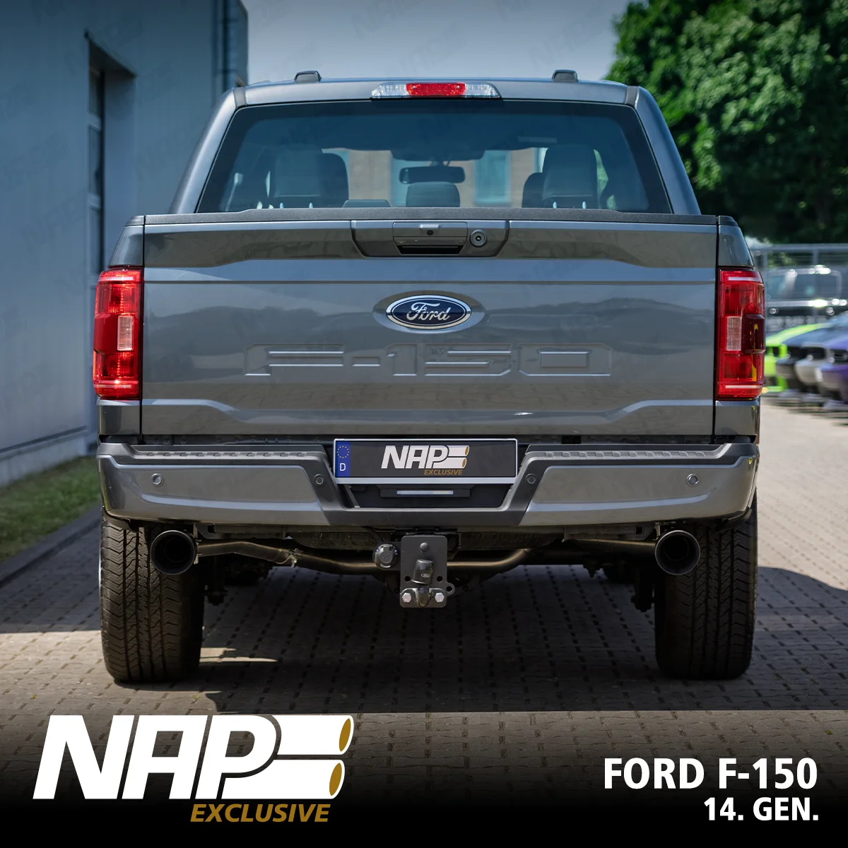 NAP Sportauspuff passend für Ford F-150 (14. Gen.)