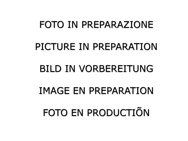 Sportauspuff Mini JCW F56 129mm mit Klappe | Ragazzon